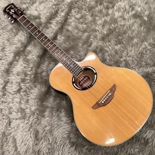 Guitare électrique acoustique