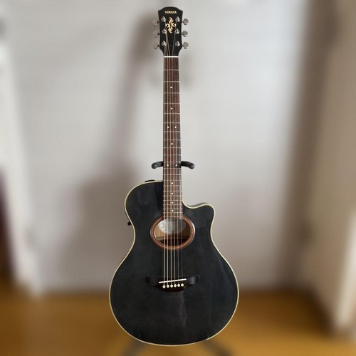 Guitare électrique acoustique